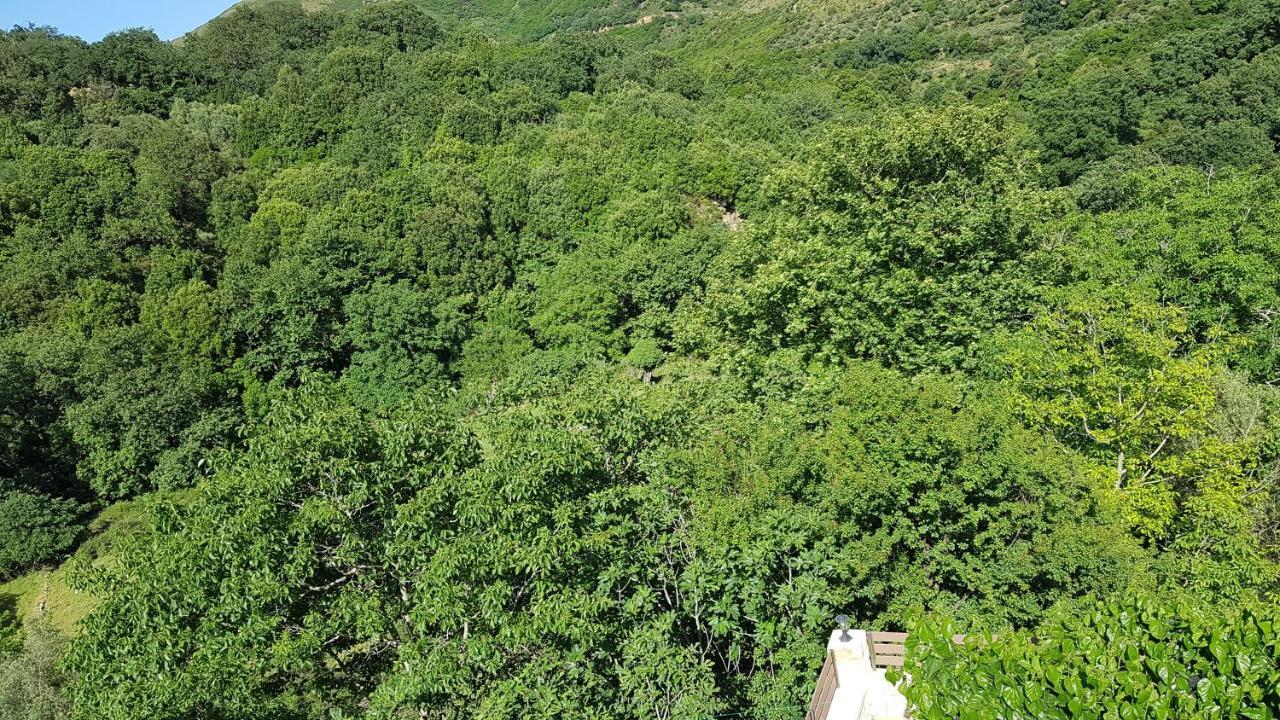 Irini΄S House Villa Alónesz Kültér fotó